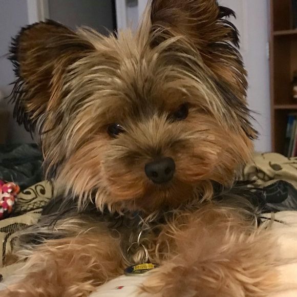 Meet your Posher, Jackie - Picture 1 of 1